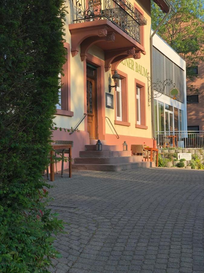 Hotel & Restaurant Gruener Baum Merzhausen Eksteriør billede